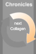 next  Collagen